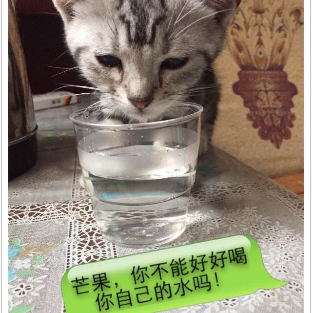 日本顺天堂大学文凭毕业证怎么买高仿